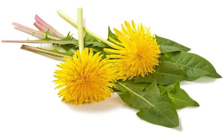 NEOflorax contém dente de leão