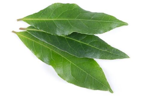 NEOflorax contém folha de louro