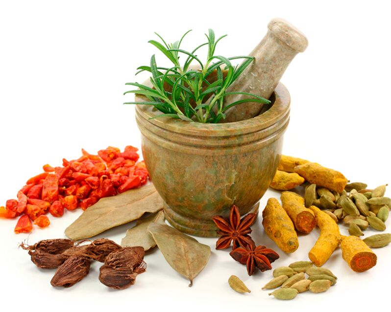 Materiais vegetais usados ​​para remover vermes